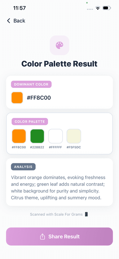 Color Palette Result