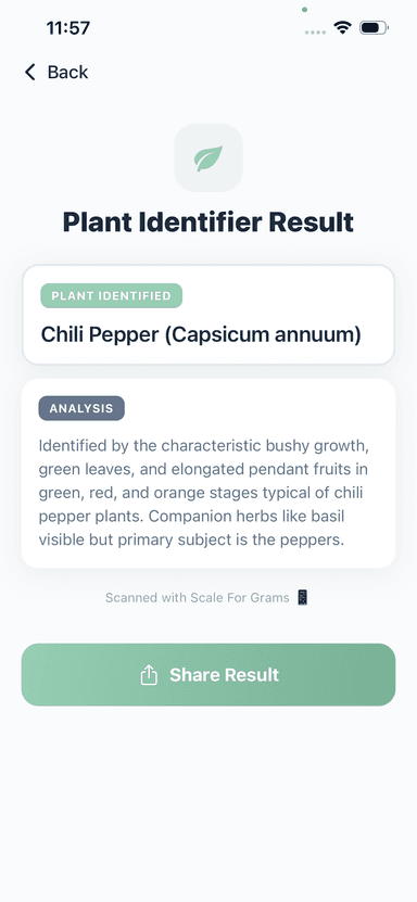 Plant Identifier Result